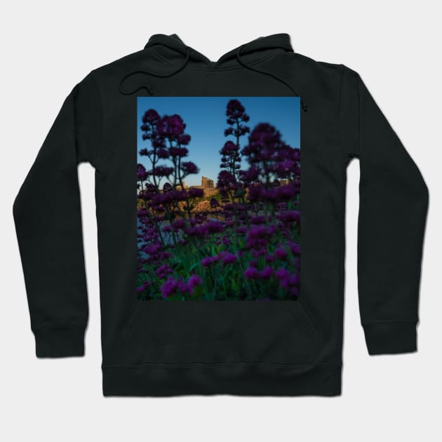 Tynemouth Priory Through Foreground Flora Hoodie by axp7884